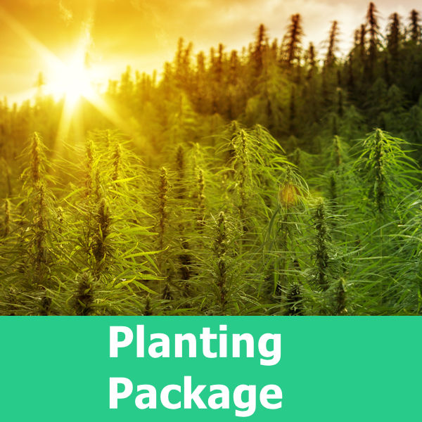 High Rize Planting Package Icon