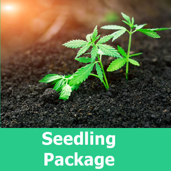 High Rize Seedling Package Icon