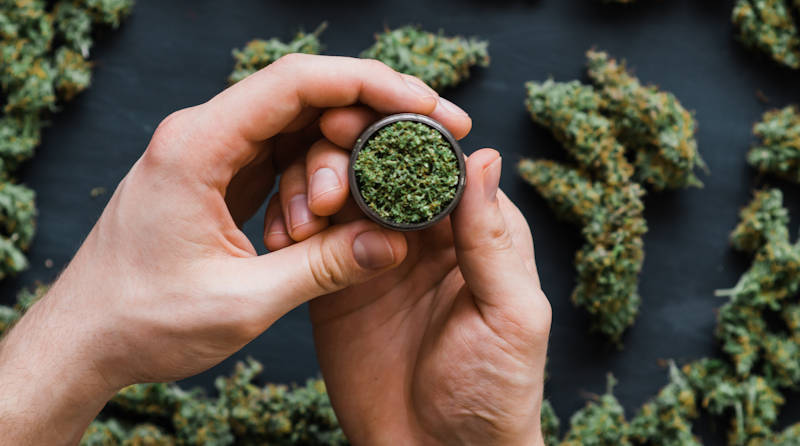 Hazy Hillbilly Cannabis Buds and Grinder