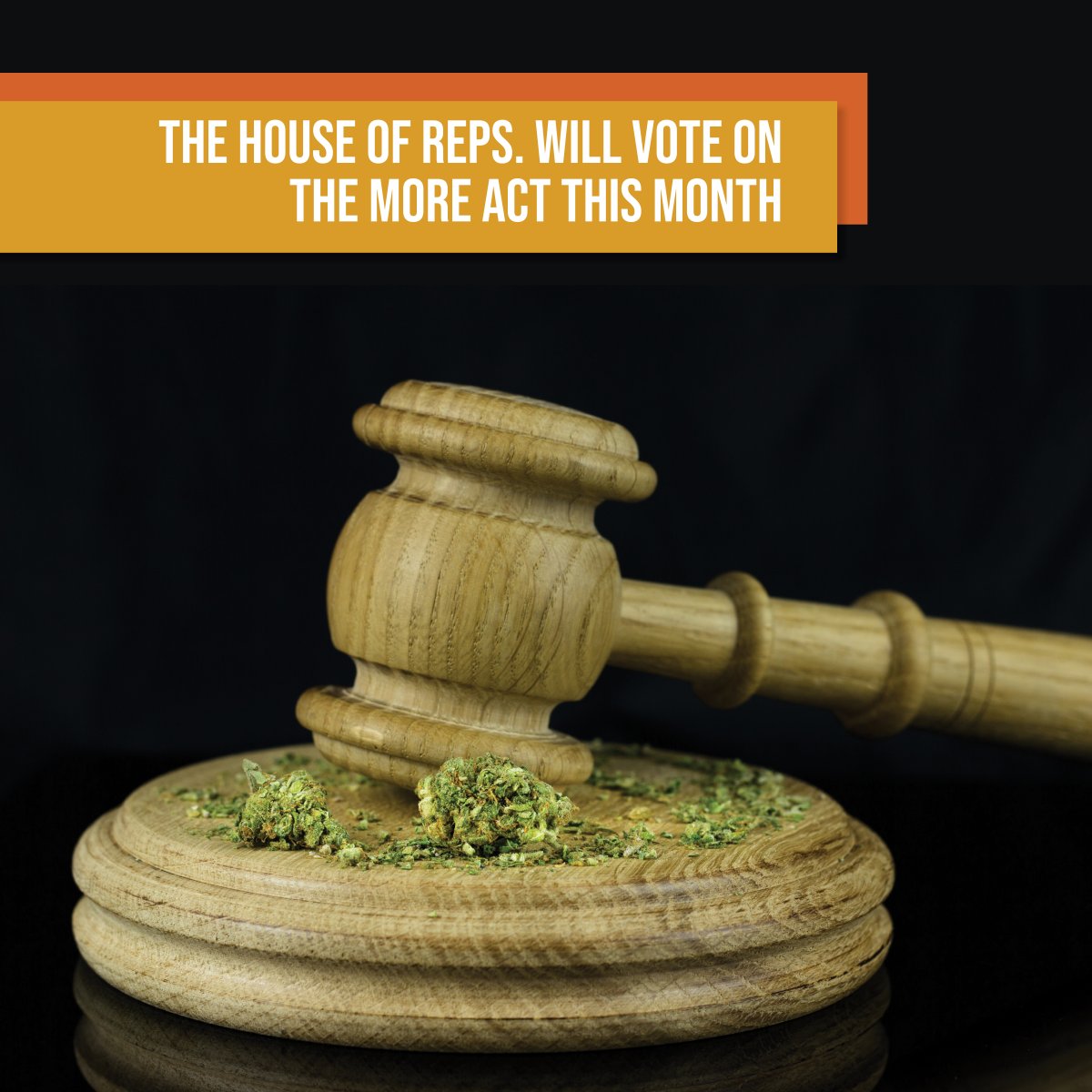 The MORE Act Could Federally Decriminalize Cannabis | High Rize Marketing